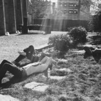 Lilacs & Champagne - Corridors of Power II