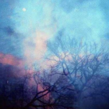 Listening Mirror - The Organist