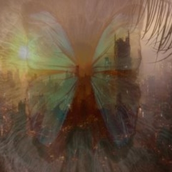 Loss of a Child - Missing