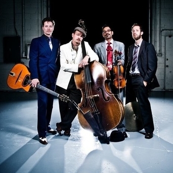 Le Chat Lunatique - Cri du Chat