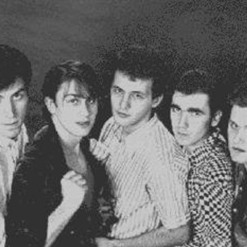 Laki Pingvini - Moja devojka