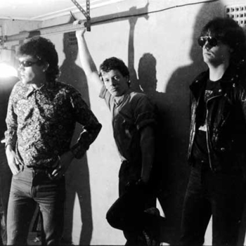 Lime Spiders - 1-2-5