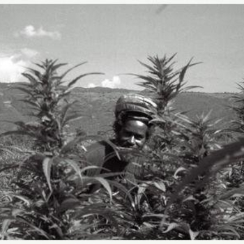 Max Romeo & The Upsetters - Chase The Devil