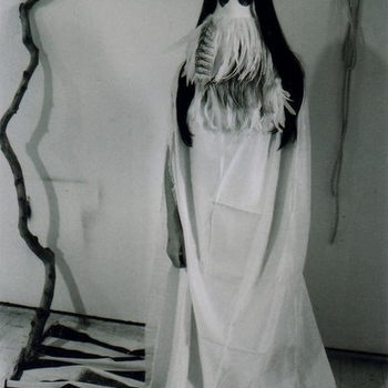 Metallic Falcons - disparu