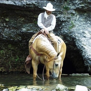 Michael Martin Murphey, Cody Johnson - Wildfire