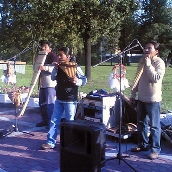 Melodies Of The Heart - Calmness in the Jungle