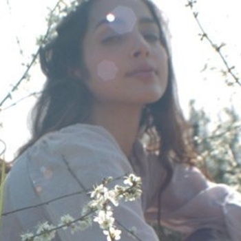 Myrtille - Les Pages