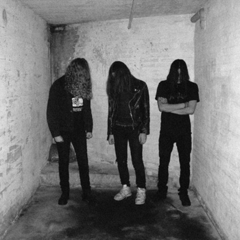 FRATII PAUN - Batuta moldoveneasca