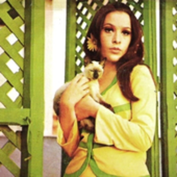 Артист Massiel