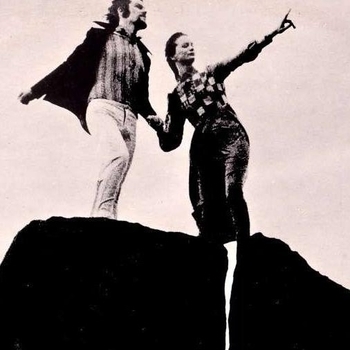 Артист Mr. Fox