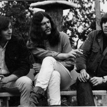 My Solid Ground - Hysterical