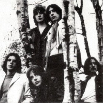 Mandrake Paddle Steamer - Steam