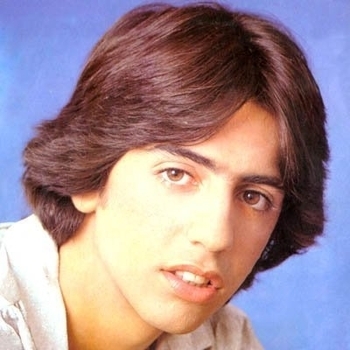 Noam Kaniel - ladybug