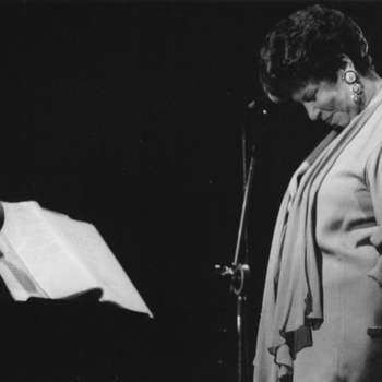 Celso Fonseca feat Ronaldo Bastos - Flor da noite