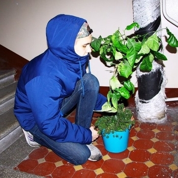 Nathree - Indefinite