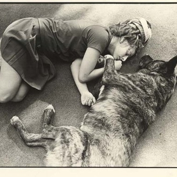 New Age Steppers - 5 Dog Race