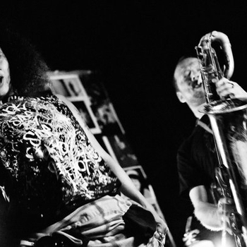 Артист Neneh Cherry & The Thing