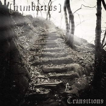Nimbatus - Looking behind the Glass