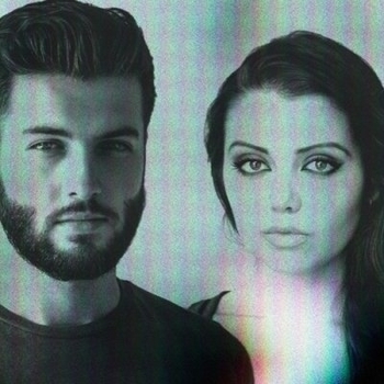 once a tree - Light Me Up