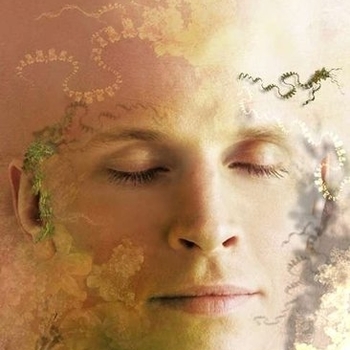 Omnimotion - Elastic Crystals in Motion