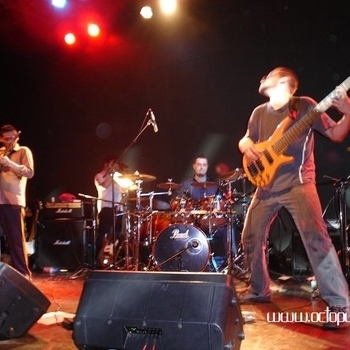 Octopus - Wake Me Up (Cover)