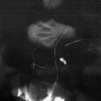 Ossadogva - Prophesy