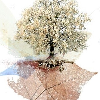 ovia - Rain on my face