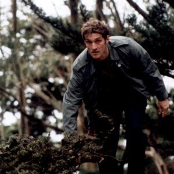 Of (Loren Chasse) - The Wentle Trap And The Watering-Pot Shell (The Animals And Their Shadows 2015)