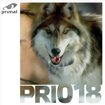 Odessi - Beyond Sound - Pavliga Remix