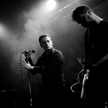 Organic - The meat we kill