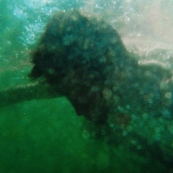 Parra for Cuva - Sumidero