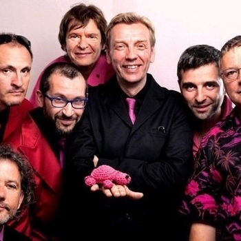 Pink Turtle - Black Magic Woman