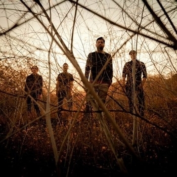 Palms - Rosewater (Single 2021)