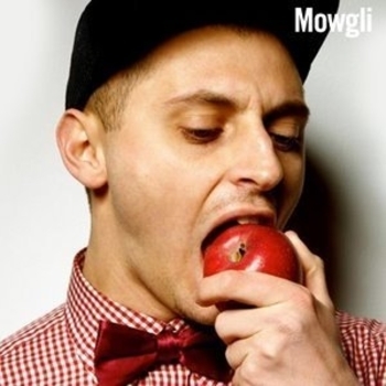 Porn Kings vs. DJ Supreme - Up To Tha Wildstyle (Mowgli & Bagheera Radio Edit)