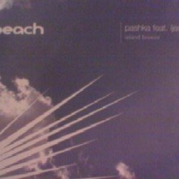 Pashka - The One For You (new)