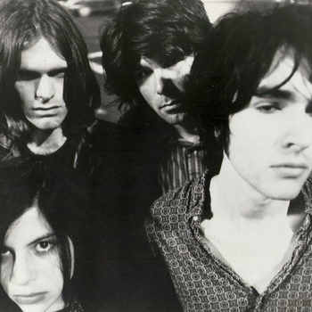 Pussy Galore - Shine a Light