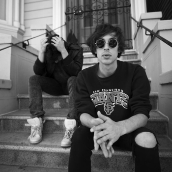 Painted Palms - Click