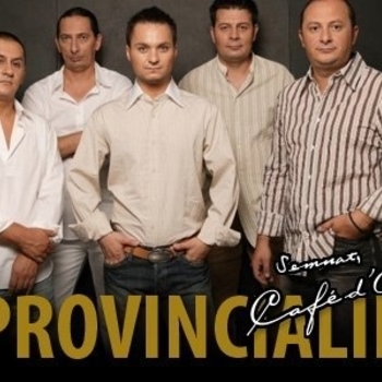 Provincialii - Chitara Maita