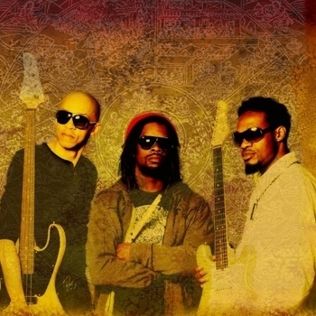 New Order - Shake It Up