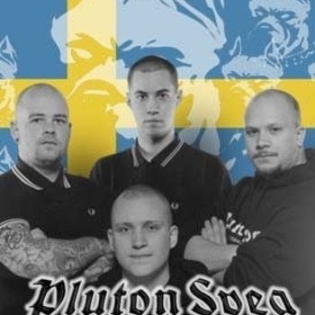 Pluton Svea - Wiking