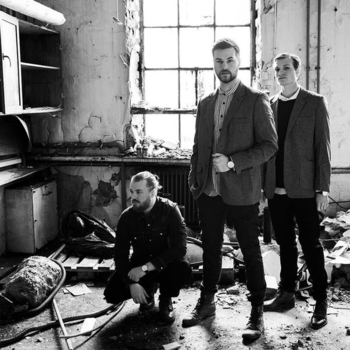 Port Noir - Black from the Ink