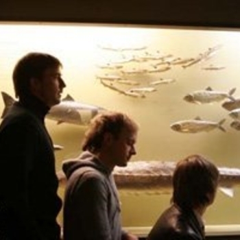 Peggy - HE HA HO (ITALODISCO)