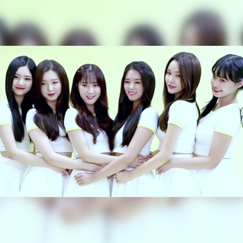 P.O.P - Memory (Puzzle of Pop 2017)