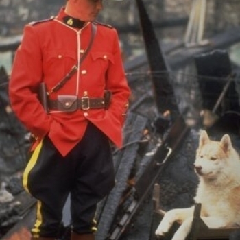 Paul Gross - Robert MacKenzie