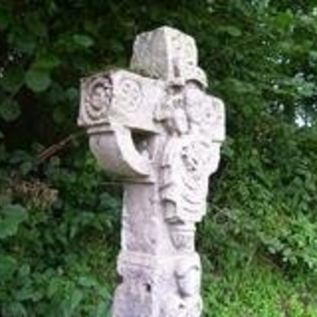 Pale Roses - The Tower