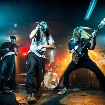 Palm Desert - No Pain No Sorrow