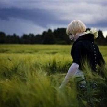 Rockettothesky - Elephant van Sant