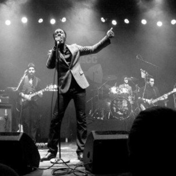 Roseaux - More Than Material