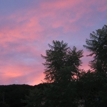 Anzan - Heart of Dawn