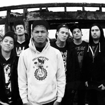 Recognize - Cow Eyes